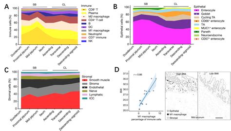 上海华盈生物医药科技有限公司 Nature：pcf空间单细胞蛋白组构建肠道组织结构图谱