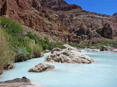 bushes  boulders   colorado river arizona