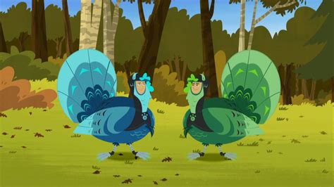 Wild Kratts Turkey Power by Mdwyer5 on DeviantArt