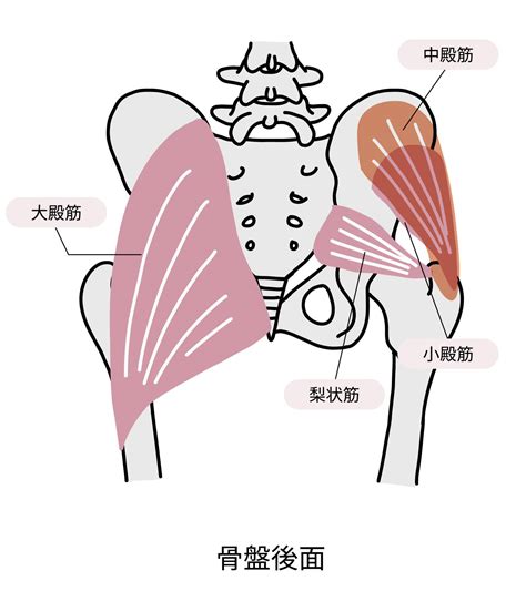 【股関節】可動域が広がる！股関節を正しい位置に戻す簡単ストレッチ ヨガジャーナルオンライン