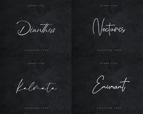 Signature Fonts Bundle 2, Cursive Signature Font OTF, Birthday Fonts ...