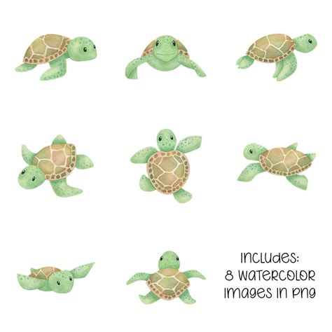 Watercolor Sea Turtles Clipart Commercial Use Ok Made By Teachers