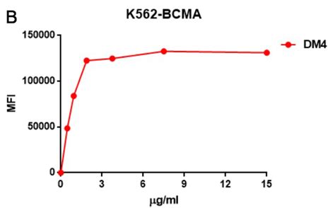 Anti Bcma Antibody Dm Rabbit Mab