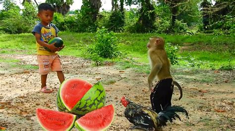 Hurry Up Sokyaa Very Hungry Best Vithu Sharing Watermelon Youtube