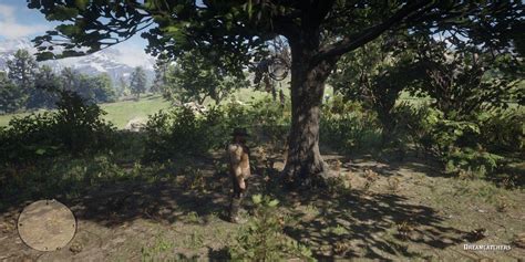 Red Dead Redemption 2 All Dreamcatcher Locations