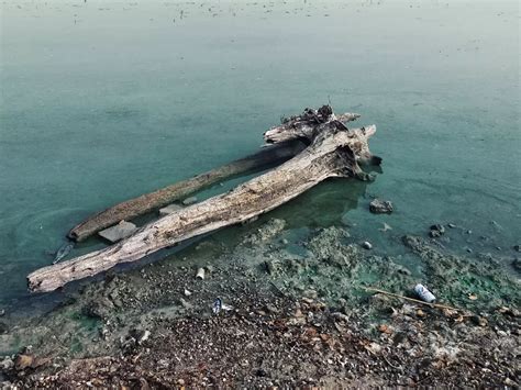 tanah air beta potretmalukuid