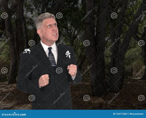 Funny Businessman, Bird Poop, Angry Royalty-Free Stock Image ...