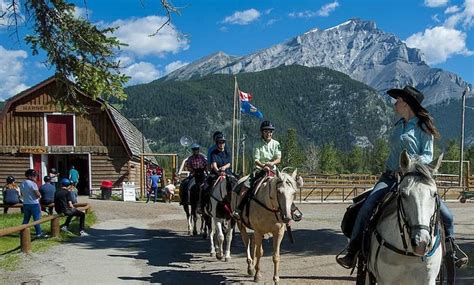 Banff Trail Riders - Banff Trail Riders | Groupon