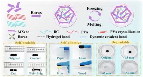 Self Healable Self Adhesive And Degradable Mxene Based Multifunctional