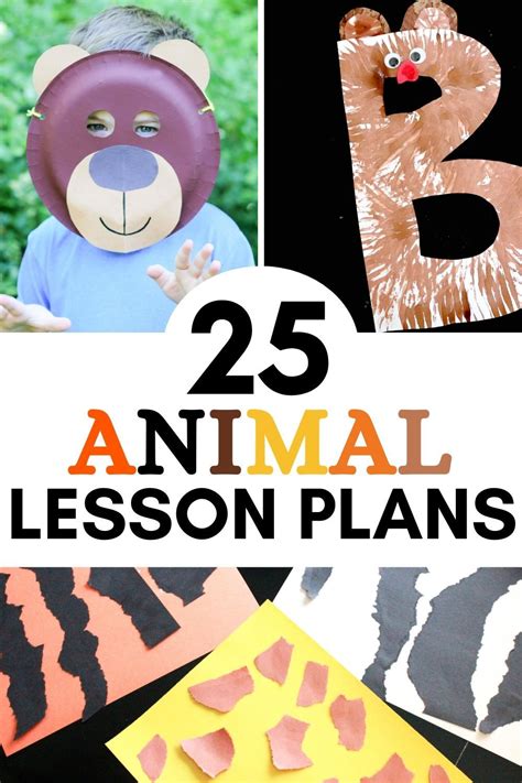 Animal Theme Preschool Lesson Plan