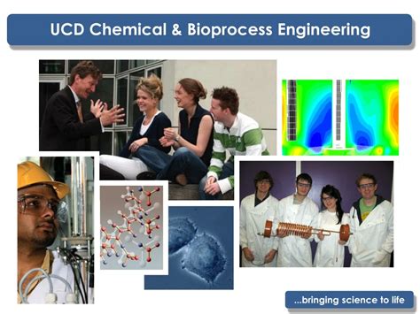 Ppt Ucd Chemical And Bioprocess Engineering Bringing Science To Life