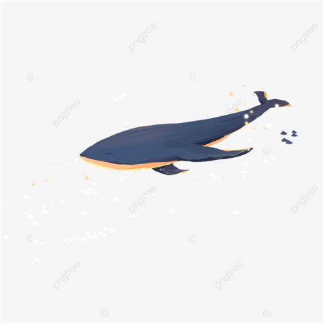 School Of Whales, Whale, School Of Fish, Light Spot PNG Transparent ...