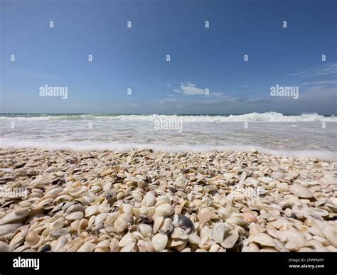 Naples Florida Usa 31823 Keewaydin Island Barrier Island Beach