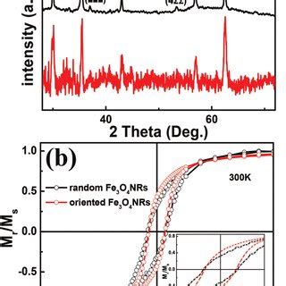 A Xrd Patterns And B Magnetization Hysteresis Loops Of Fe O Nrs