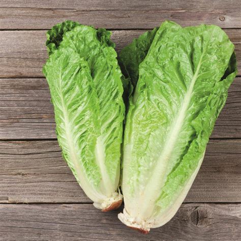 Lechuga Todas Sus Propiedades Y Beneficios Para La Salud