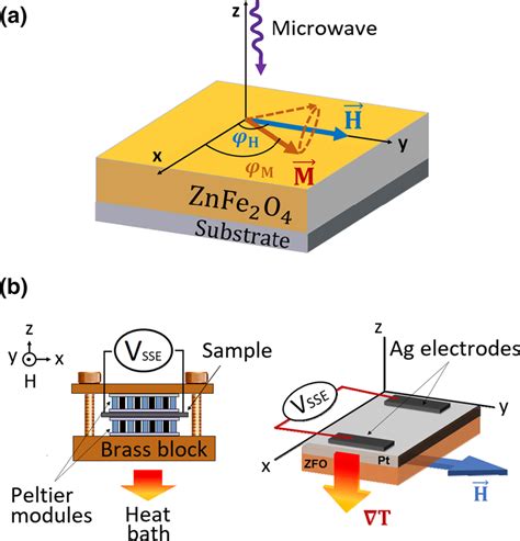 A Schematic Illustration Of The Sample Studied By Ferromagnetic