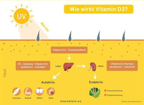 Vitamin D3 Mangel Erkennen Beheben InnoNature