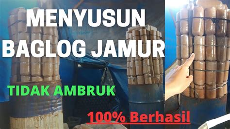 Cara Menyusun Baglog Jamur Di Drum Sterilisasi Full Maksimal Berhasil