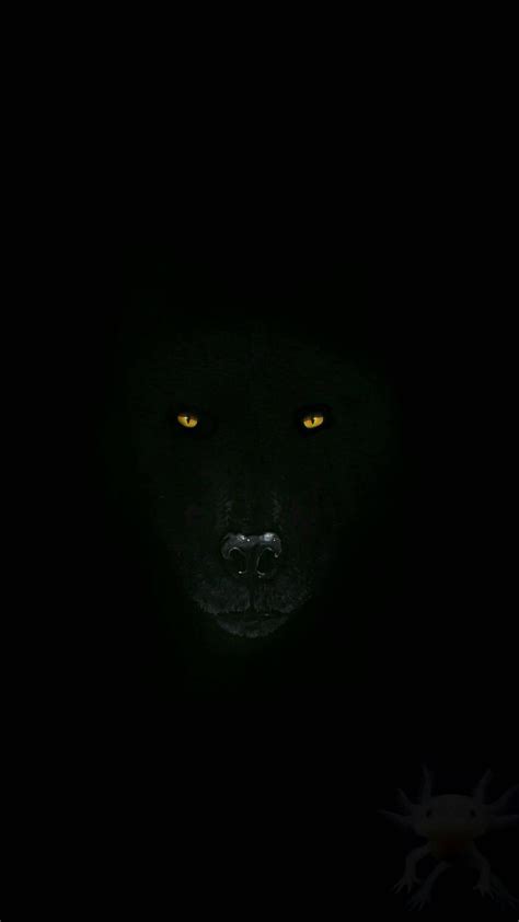 Dark Wolf Eyes Wallpapers - Top Free Dark Wolf Eyes Backgrounds ...