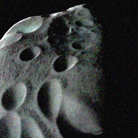 3d model braille asteroid