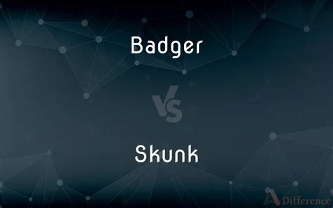 Badger vs. Skunk — What’s the Difference?