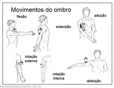 Movimentos Do Ombro Traumatologia E Ortopedia