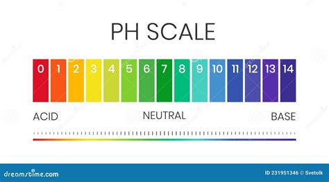 PH Value Scale Chart For Acid Alkaline Solution Acid Base Balance