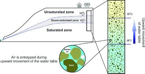 Schematic Showing How During Recharge The Water Table Rises From Wt To