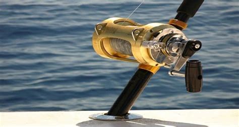 How Does Fishing Reel Work A Comprehensive Guide