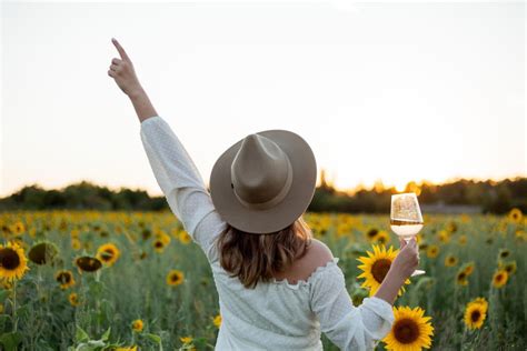 Temporada De Girasoles En La Bodega Tenuta Torciano GetYourGuide