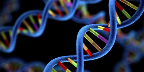 gen pengertian fungsi  simbol simbolnya