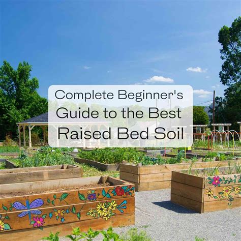 Should You Use Peat Moss In Raised Garden Beds Fasci Garden