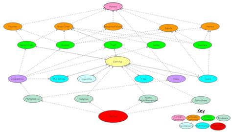 Estuary Food Web Insight Maker