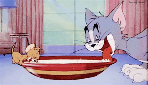 Tom And Jerry Tom And Jerry Photo 45424364 Fanpop