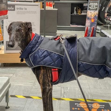 Halfords Dundee Dog Furiendly