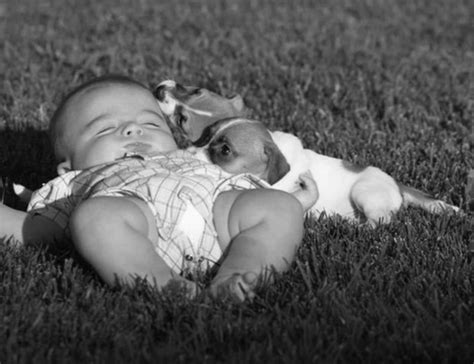 Free baby sleeping Photos & Pictures | FreeImages