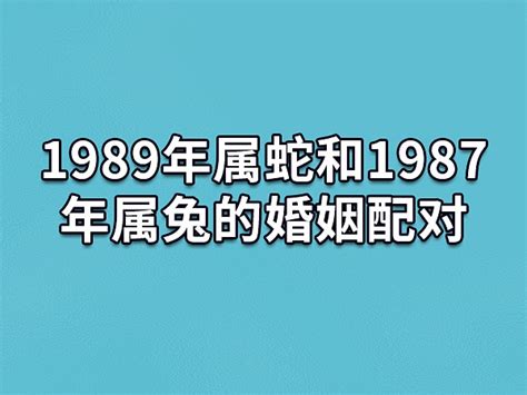 1989年属蛇和1987年属兔的婚姻配对可以婚配要互相沟通吉星堂