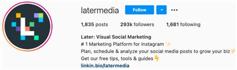 10 Small Business Examples Of The Best Instagram Bios Dazzlepop