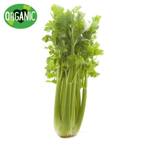 Buy Celery Organic from Harris Farm Online | Harris Farm Markets