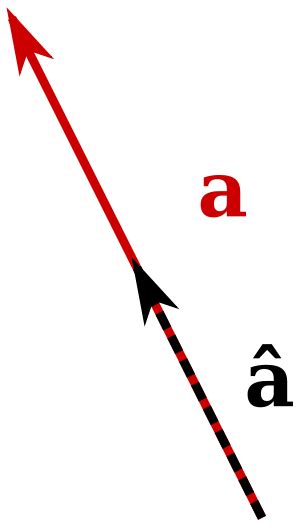 vector facts  kids kidzsearchcom