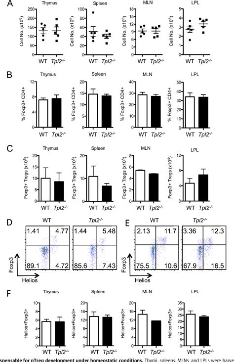 Figure From Tumor Progression Locus Tpl Activates The Mammalian