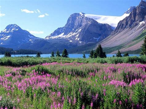 turismo  canada canada  canada