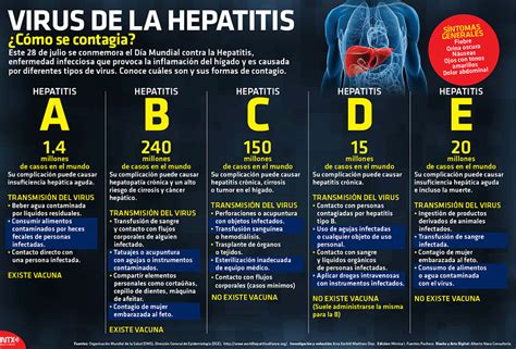 30 Imágenes Informativas De La Hepatitis Imágenes Y Noticias