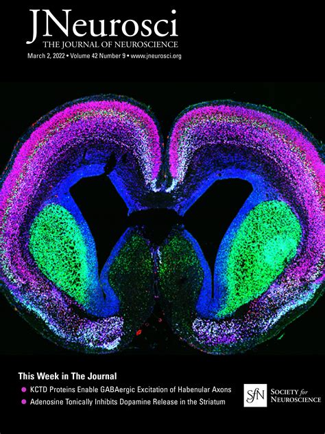 Dual Pi K Inhibitor Duvelisib Prevents Development Of Neuropathic