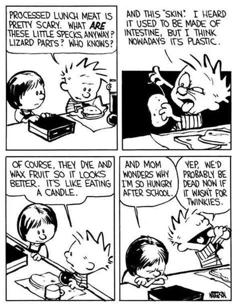 Pin By Lee Jones On Calvin And Hobbes In 2024 Calvin And Hobbes Humor