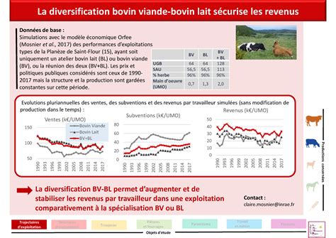 La Diversification Bovin Viande Bovin Lait S Curise Les Revenus