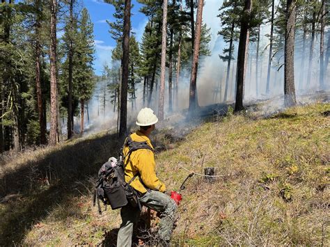 Montana Wildlife Habitat Enhanced Thanks To RMEF Partners Rocky