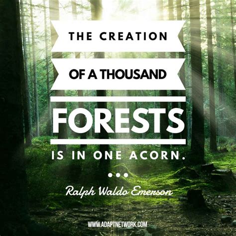 The Creation Of A Thousand Forests Is In One Acorn Inspirational