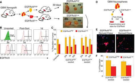 Targeted Therapy Resistance Mediated By Dynamic Regulation Of