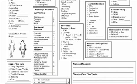 Nursing Head To Toe Assessment Cheat Sheet Rainy Weathers